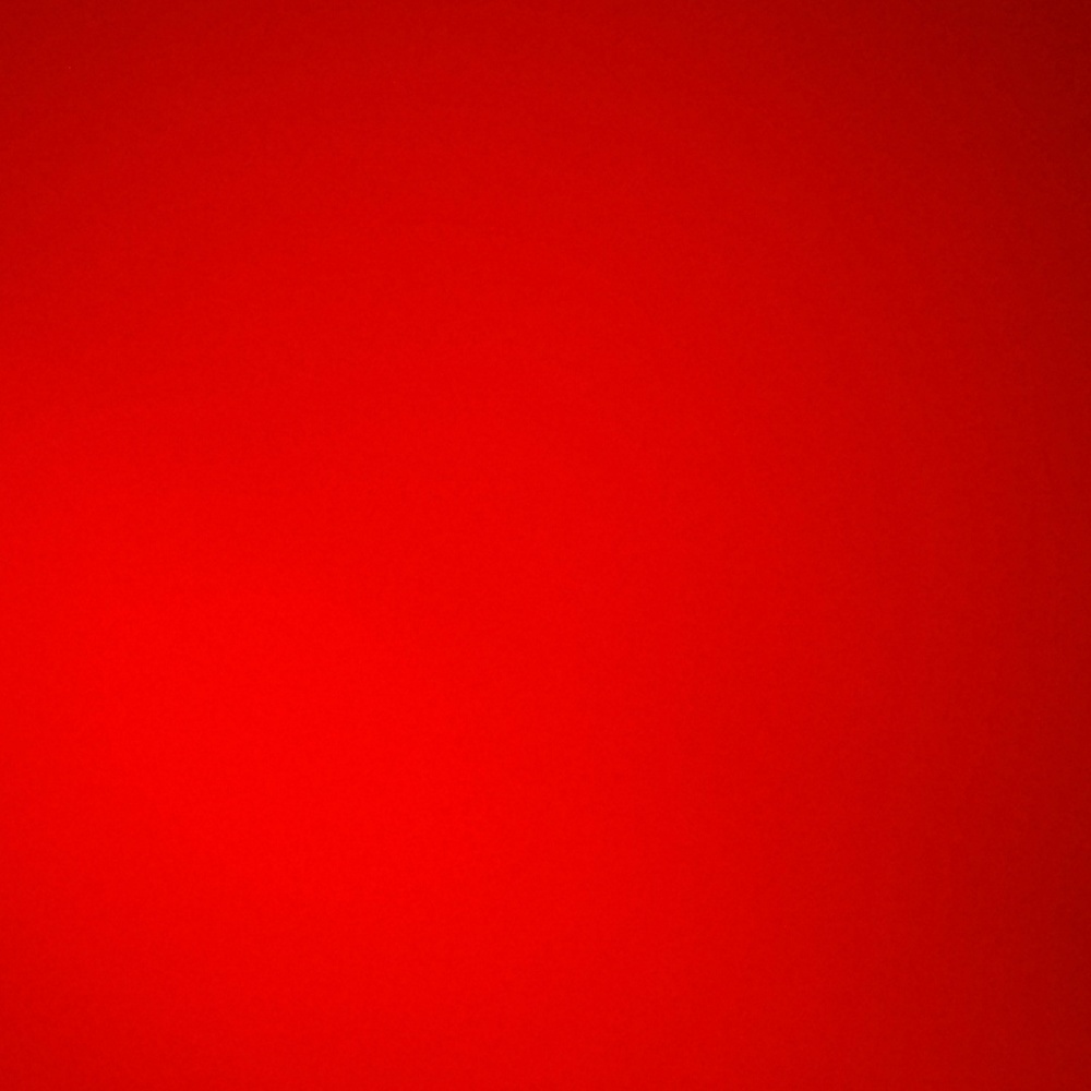 Meet your Posher, Daisy